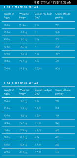 puppy feeding schedule examples and forms