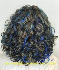 When you can't decide on which shade of blue you like the most, you should incorporate a few of them into your new hair color. 96 Inspirational Blue Highlights On Brown Hair In 2020 Blue Hair Highlights Highlights Curly Hair Really Curly Hair