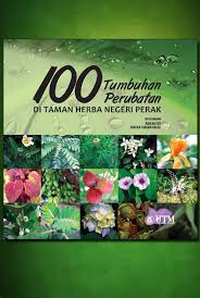 Salah satu herbal yang direkomendasikan untuk meningkatkan imunitas tubuh adalah echinacea purpurea. 100 Tumbuhan Perubatan Di Taman Herba Negeri Perak Penerbit Utm Press