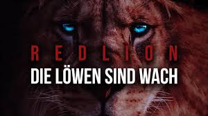 Red foxes are native to the northern hemisphere and can be found in wide. Redlion Die Lowen Sind Wach Epic German Nasheed Youtube