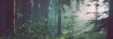 How To Create A Slideshow The code for backgroundimage.html shows how attaching the background image to an element through css isn't difficult.