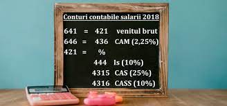 Documentele justificative care stau la baza inregistrarilor in contabilitate. Conturi Contabile Pentru ContribuÈiile Sociale Obligatorii Incepand Cu 2018