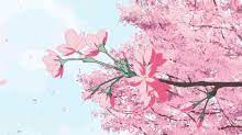 Let me ask you this what do you think about the symbolism of sakura trees? Anime Sakura Tree Gifs Tenor