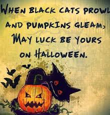 But that doesn't mean there's no room for a few more. Best Collection Of Halloween Black Cat Quotes And Sayings 2021