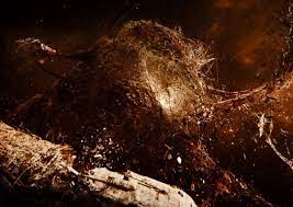 Beyond the aquila rift spider. Beyond The Aquila Rift Love Death Robots A Really Good One Great Soundtrack 9gag