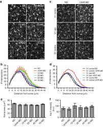 Guidelines for assessment of specified disabilities. Microglial P2y12 Is Necessary For Synaptic Plasticity In Mouse Visual Cortex Nature Communications