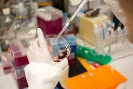 I am currently continuing to work as a postdoc. Ge Healthcare United States