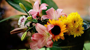 Pin On Flowers Wallpapers
