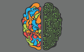 Brain Wallpaper Hd 67 Images Brain Art Pretty Wallpapers Electronic Engineering