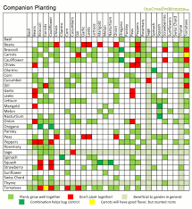 Vegetable companion planting chart pdf. Companion Planting Which Garden Plants Grow Well Together Free Printable From On Gardening For Dummies Companion Planting Chart Garden Companion Planting