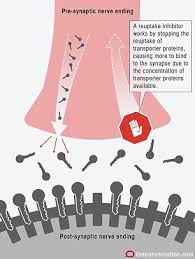 May 19, 2020 · while the amount of time it takes for ibuprofen to work can vary, it usually takes about half an hour to start feeling symptom relief. Expert Explains How Ibuprofen Turns Off Headaches And Antidepressants Improve Mood Daily Mail Online