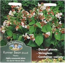 Check spelling or type a new query. Mr Fothergill S 23221 Vegetable Seeds Runner Bean Dwarf Hestia Amazon Co Uk Garden Outdoors