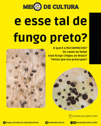 A doença do fungo preto mata mais de 50% das pessoas que a contraem. Cxry4v2s46gwnm