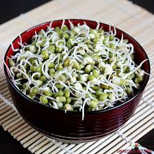 Mung Bean Sprouts, How to Sprout Mung Beans