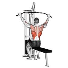 Man könnte auch sagen der sehr breite rückenmuskel. á… Lat Ubungen Zuhause Fitness Studio Top 5 Bilder Videos
