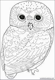 We did not find results for: Mandala Zum Ausmalen Eule Novocom Top