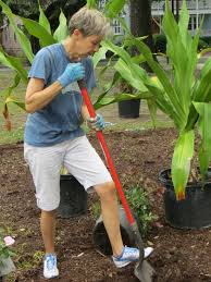 Those feelings after a workout are great and in many ways that is why we workout. Gardening A Great Way To Get A Good Workout