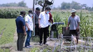 Oct 16, 2020 · wisata agro ada di berbagai daerah, salah satunya di desa betet, kecamatan ngronggot, kabupaten nganjuk, jawa timur. Wisata Tani Betet Nganjuk Pln Peduli Kembangkan Pariwisata Berbasis Pertanian Times Indonesia