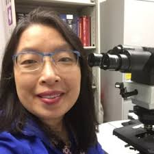 Dr. Nilsa Ramirez, MD