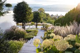 We did not find results for: Hydrangea Paniculata Rispenhortensie Parc S Gartengestaltung Ch