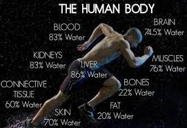Supreme three trendy quotes about human body image German ... via Relatably.com