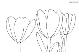 Tulpe Malvorlage Kostenlos Tulpen Ausmalbilder