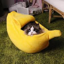 Not only will a cat bed provide a sense of security, but it can also help prevent fur buildup around the house! Sold Out Cute Cat Banana Bed