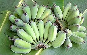 Untuk tahu lebih lengkap cara membuat banana nugget, yuk kita mulai resep banana nugget berikut! Pisang Hijau Baik Dan Buruk Bolehkah Anda Makan Apa Yang Perlu Dilakukan Dengan Mereka Pengeluaran Tanaman