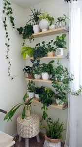 Découvrez notre catalogue de plantes d'exterieur (rosiers, grimpantes, de bassin, bonsaï…) et faites vos courses en toute sécurité en vous rendant au magasin le plus proche de chez vous. Mur Vegetal Interieur 14 Idees Faciles Et Tendance Decoration Plantes Interieur Deco Plantes Interieur Mur Vegetal Interieur