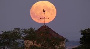 Différentes cultures du monde entier ont nommé chaque lune de l'année, basée sur la nature, les animaux et les oiseaux, les plantes et les conditions météorologiques tout au long de l'année. Non Il N Y Aura Pas De Super Lune Rose La Nuit Du 26 Au 27 Avril