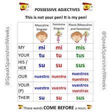 Possessive Adjectives In Spanish These Types Of Adjectives Are Used To Express Possessive Adjectives Possessive Adjectives Spanish How To Speak Spanish