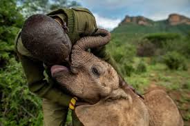Some people carry a kind of quiet magic – and for us, that's Lekupanai.  Gentle, generous, and endlessly patient, he is one of those rare  individuals who embodies kindness and love in