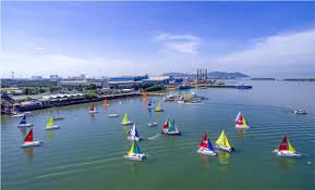 2 con cá sấu xuất hiện ở hồ nước trong khu dân cư. Ba Rá»‹a VÅ©ng Tau Nghá»‹ch Ly Báº¿n Tau Du Lá»‹ch Láº¡i Bá»‹ Cáº¥m Hoáº¡t Ä'á»™ng Du Lá»‹ch Vov Vn