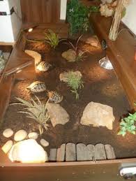 Pin By Berenice Vansimpsen On Turtle Habitat Tortoise Enclosure Tortoise Habitat Tortoise Table