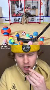 coach chippy (@coach_chippy)’s videos with original sound