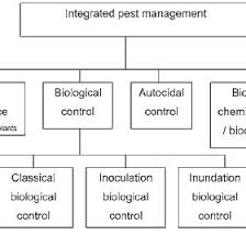 Integrated pest management regulates pests by using a variety of control measures, including mechanical, cultural, biological, and chemical. The Relationship Between Biological Control And Other Strategies For Download Scientific Diagram