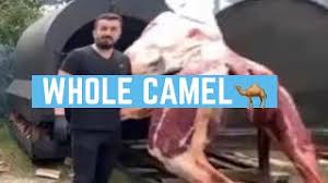 Better slow cooker chicken starts with the broiler. Cooking Whole Camel In A Professional Way 2019 Youtube