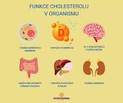 Image result for cholesterol potraviny tabulka
