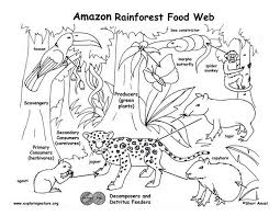 The kids will love these fun santa coloring pages. Biome Tropical Rainforest 3686 Text Images Music Video Glogster Edu 21st Century Multimed Rainforest Food Web Rainforest Food Chain Ecosystems Projects