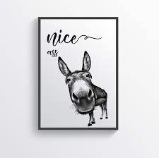 NICE ASS Bathroom Print Donkey Art Bathroom Prints Minimalist - Etsy