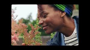 National Trust for Scotland inspires with new Leith campaign