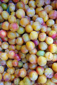 Syriaca), is a cultivar group of plum trees of the genus prunus. Mirabelle Plum Tart Recipe Masalaherb Com