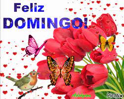 Amigos y familia que dios hoy los bendiga y les regale un hermoso día! Feliz Domingo Picmix