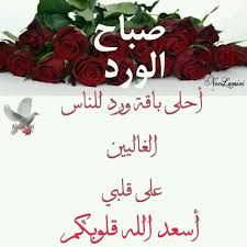 Pin By وردة الياسمين On صباح الخير Beautiful Chickens Good Morning Islamic Quotes