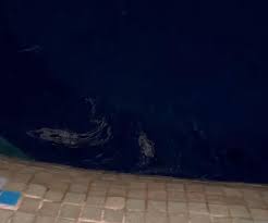 Quanto dura o esperma na água? Cantora processa motel alegando que  encontrou sêmen na piscina; entenda