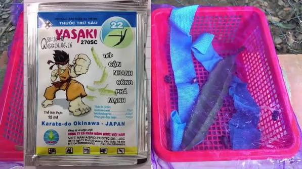 Yasaki 270SC