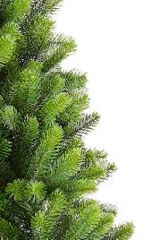 Pvc unlit artificial slim pencil christmas tree with stand home holiday decor green by costway. 6 5 Foot Royal Fir Slim Quick Shape Artificial Christmas Tree 500 Dual Color Led Lights King Of Christmas