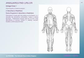 Pentru instalarea unei centrale termice , trebuie sa parcurgeti urmatoarele etape: Instructiuni De Folosire Ppt Download