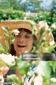 16.395 Felicity Rose Stock Photos, High-Res Pictures, and Images