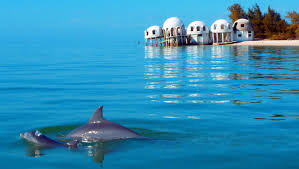In 1984, lee sold the house, and then repossessed the home in 1987 when it was foreclosed upon. These Otherworldly Domes Used To Be A Beach Home